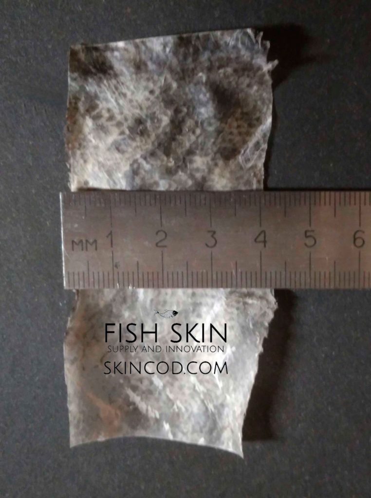 dry fish skin