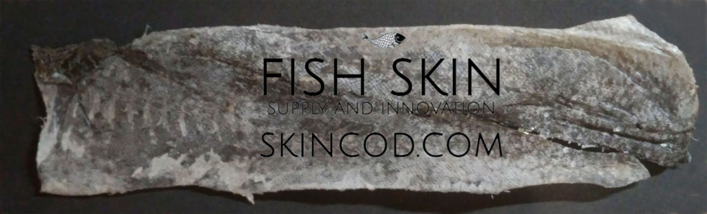 dry fish skin